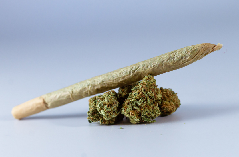 Joint liegt auf Cannabisblüten